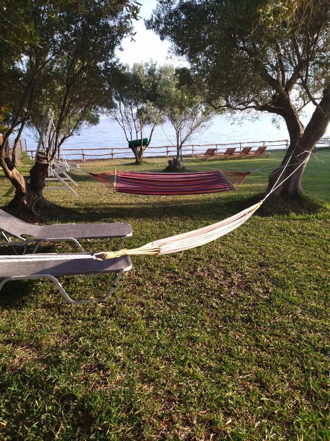 Seaside House Villa Nea Skioni Dış mekan fotoğraf