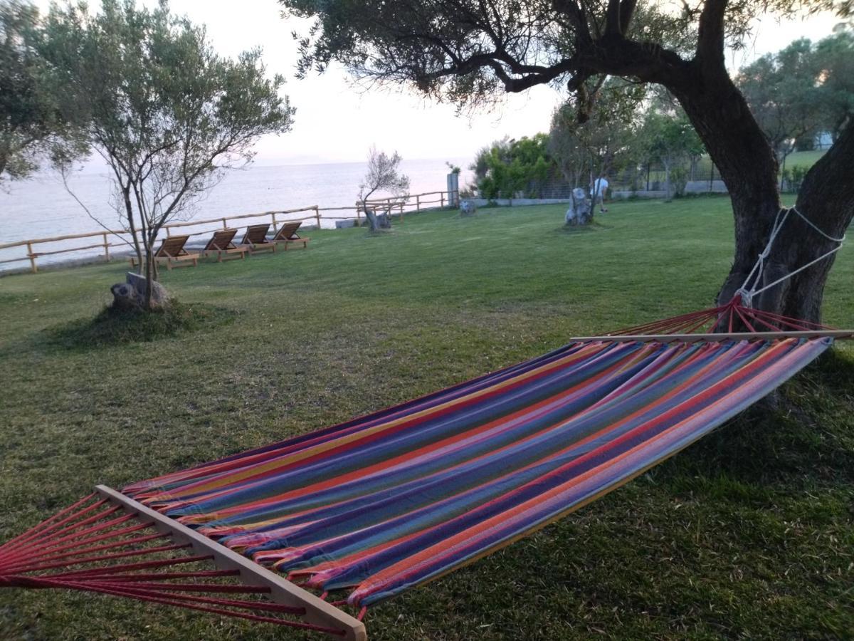 Seaside House Villa Nea Skioni Dış mekan fotoğraf