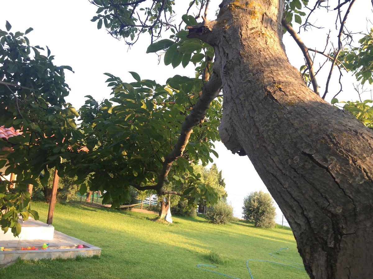Seaside House Villa Nea Skioni Dış mekan fotoğraf